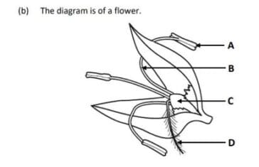 Parts of a flower with diagram test/ quiz questions. – Teachgy worksheets